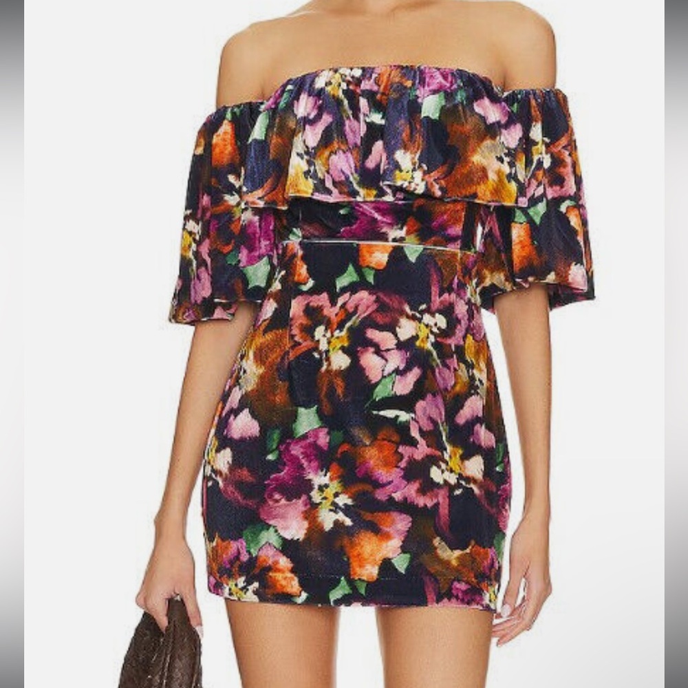 🆕 MISA Anetta Painterly Libra Fleur Velvet Off the Shoulder Mini Dress - 10